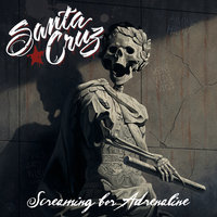 Let`s Get The Party Started - Santa Cruz