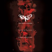 The Water That We All Come to Need - The Moth Gatherer