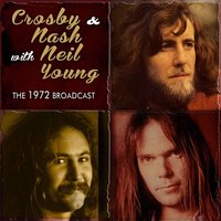 I Used to Be a King - Neil Young