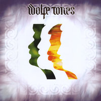 Mullingar Fleadh - The Wolfe Tones