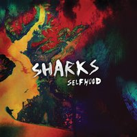 Gold - Sharks