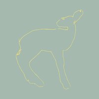 All Pass - Songs: Ohia