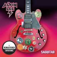 Blues Has Got a Hold on Me - Alvin Lee