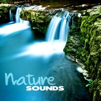 Mountain Stream (Flute Music) - Nature Sounds