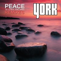 Iceflowers - York, Aly & Fila