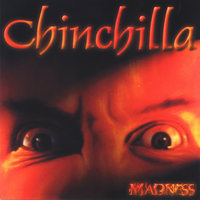 Dark And Light - Chinchilla