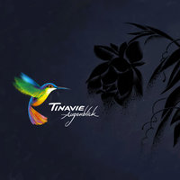 Autumn Song - Tinavie