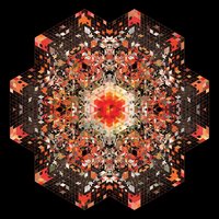 Brazil - Gold Panda