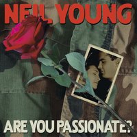 When I Hold You in My Arms - Neil Young