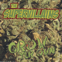 Breakfast on a Mirror - The Supervillains