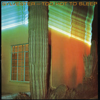 Thinking Right - Sylvester