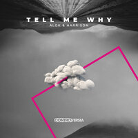 Tell Me Why - Alok, Harrison