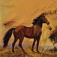 Panther 4 - Slowride
