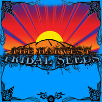 Stillness of Night - Tribal Seeds