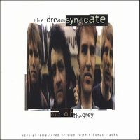 Forest For the Trees - The Dream Syndicate