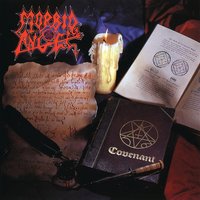 Vengeance Is Mine - Morbid Angel