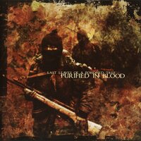 Purified In Blood