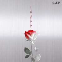 B.A.P