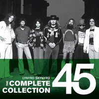 The Needle And The Spoon - Lynyrd Skynyrd