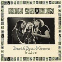 In the Long Run - The Staves