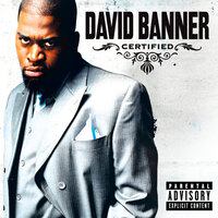 Ain't Got Nothing - David Banner, Magic, Lil Boosie