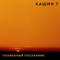 Я обещал - Павел Кашин