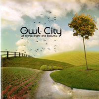 Deer In The Headlights - Owl City