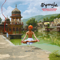 Walking Backwards Through The Cosmic Mirror - Shpongle