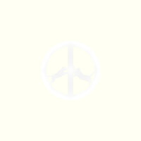 Hype Williams