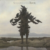 Shearwater