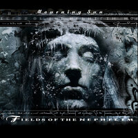 Straight to the Light - Fields of the Nephilim