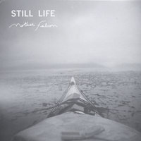 Her Radiant Limb - Mother Falcon