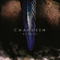 In The Forest - Chandeen