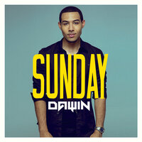 Light Of Day - Dawin