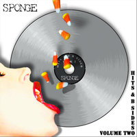 Wax Ecstatic - Sponge