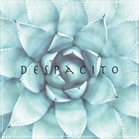 Despacito - Madilyn Bailey, Leroy Sanchez
