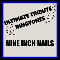 Closer (Tribute in the Style of Nine Inch Nails) - DJ Mixmasters