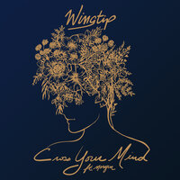 Cross Your Mind - Wingtip, morgxn