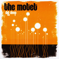Kalakuta Show - The Motet, Fela Kuti