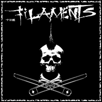 Our Roots - The Filaments
