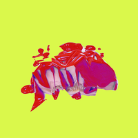 Anything Goes - NVDES