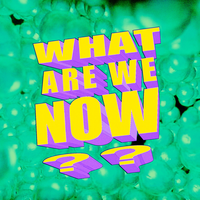 What Are We Now? - New Beat Fund