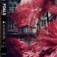 In Degrees - Foals