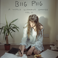 Nothing Changes - Biig Piig, Kxrn