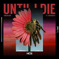 Until I Die - Tom Wilson, joegarratt