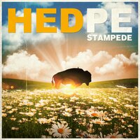 WHYNOTME? - (Hed) P.E.