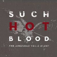 Elizabeth - The Airborne Toxic Event