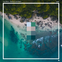 Follow - Tom Wilson, Lucas Marx