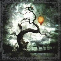 The Tree That Lived and Died Right Before My Eyes - 