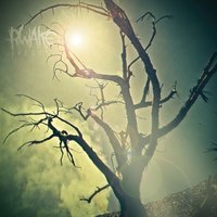 An Invisible Thread - Rwake